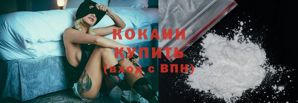 стаф Верея