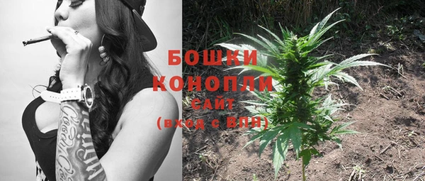 стаф Верея