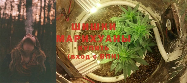 твердый Богданович