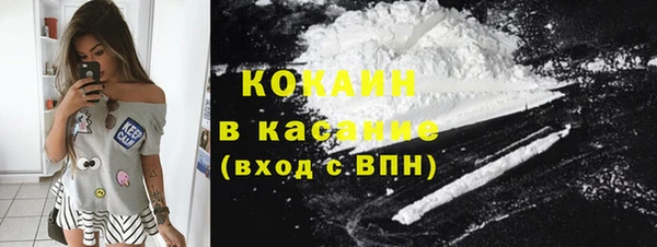 стаф Верея