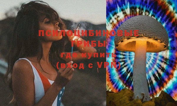 стаф Верея