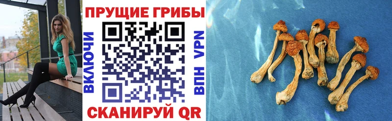 Галлюциногенные грибы прущие грибы Калач
